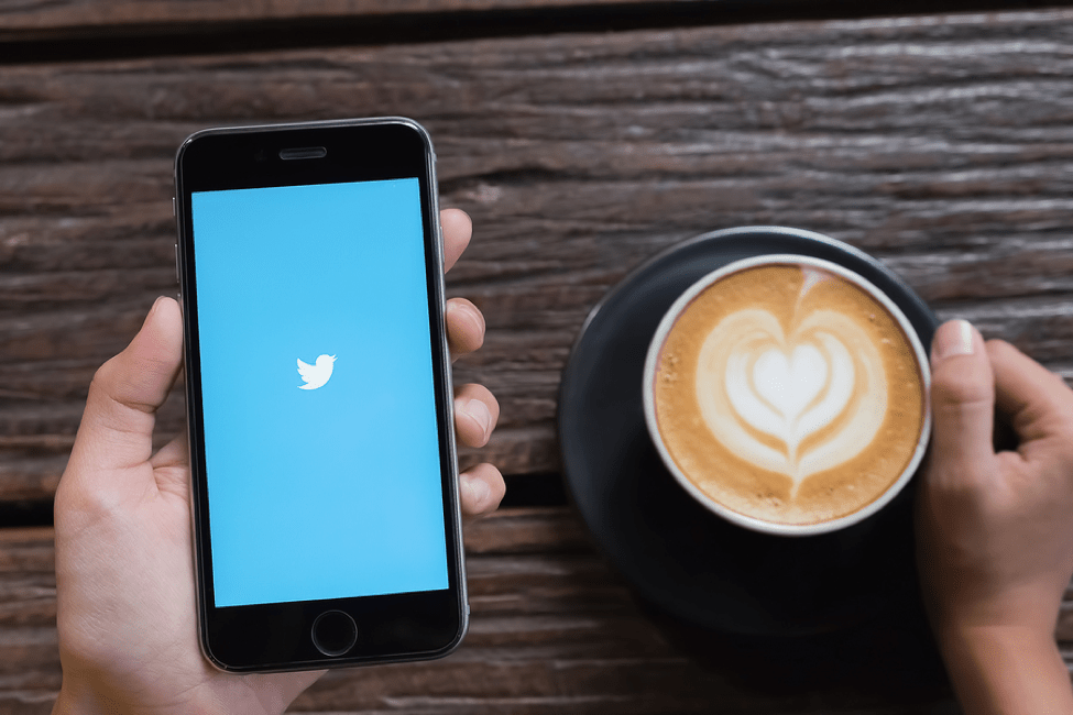 Call Yourself an Authority and Get More Followers