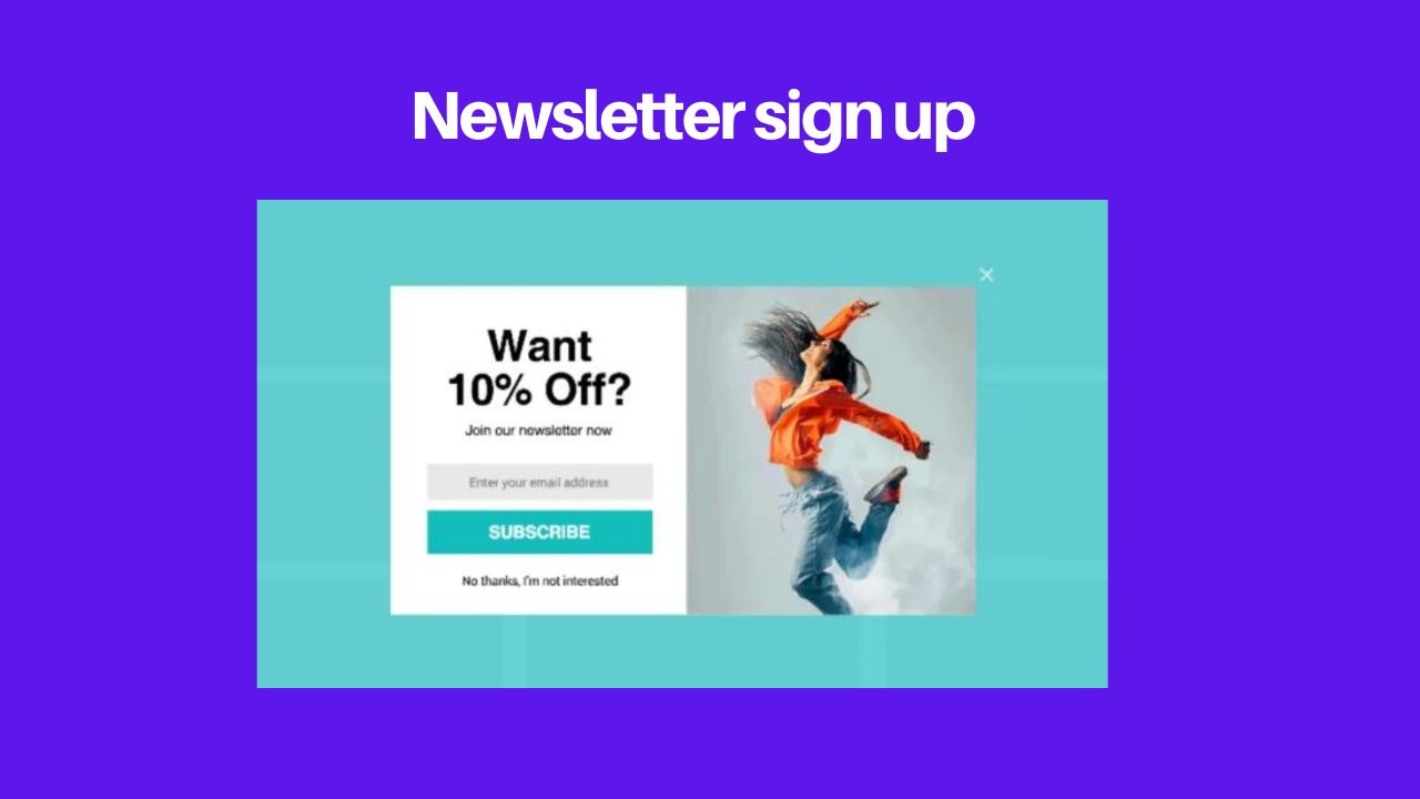newsletter lead magnet idea