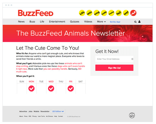 BuzzFeed Newsletters and promotions email campaign examples