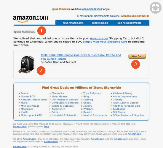 Abandoned Cart Email Examples