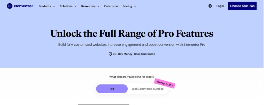 WordPress Landing Page Plugins to Boost Sales - Elementor Pro