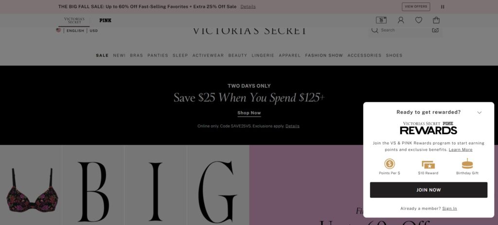 Website Popups examples - Victoria's secret
