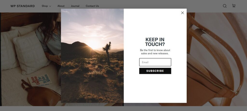 signup form examples - WP standard