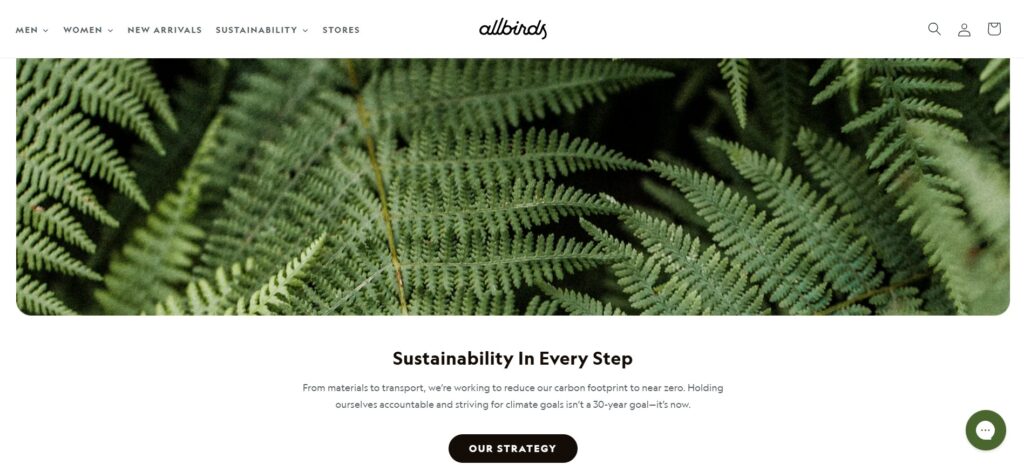 apparel marketing ideas - allbirds